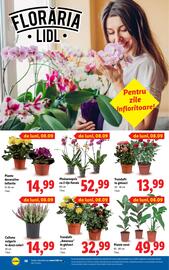 Catalog Lidl săptămâna 37 Pagină 38