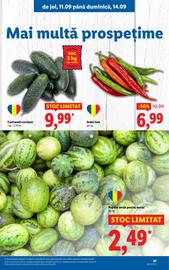 Catalog Lidl săptămâna 37 Pagină 47