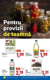 Catalog Lidl săptămâna 37 Pagină 48