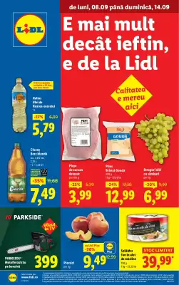 Catalog Lidl