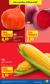 Lidl gazetka Strona 17