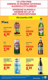 Lidl gazetka Strona 41