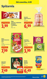 Lidl gazetka Strona 45