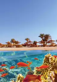 Coral Travel gazetka Strona 137