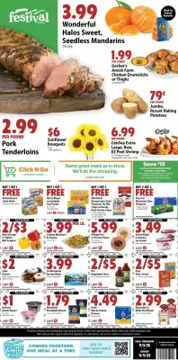 Festival Foods weekly ad (valid until 9-09)