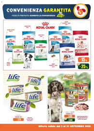Volantino Elite Pet Pagina 5