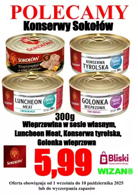 Wizan gazetka (ważność do 10-10)