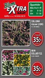 Extra Mjällby Stormarknad reklamblad vecka 36 Sida 15