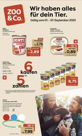 ZOO & Co Flugblatt woche 36 Seite 1