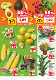 Kaufland gazetka tydzień 36 Strona 19