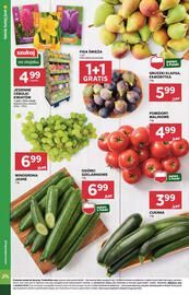 Stokrotka gazetka tydzień 36 Strona 8