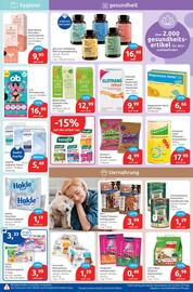 Budni Prospekt woche 38 Seite 5