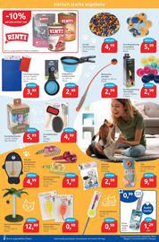 Budni Prospekt woche 38 Seite 7