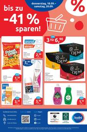 Budni Prospekt woche 38 Seite 8