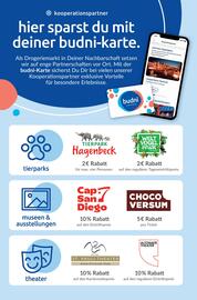 Budni Prospekt woche 38 Seite 9