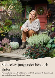 Plantagen annonsblad Sida 3
