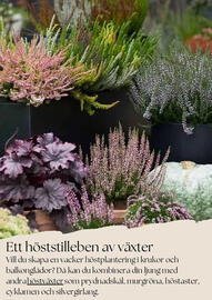 Plantagen annonsblad Sida 4