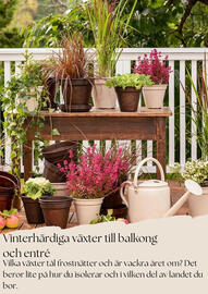 Plantagen annonsblad Sida 7