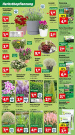 Thomas Philipps Prospekt woche 37 Seite 3