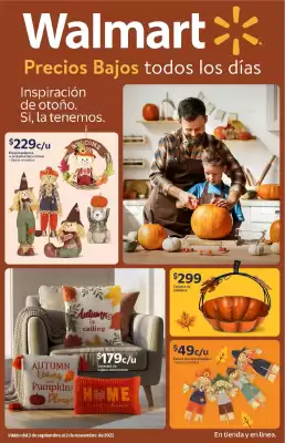 Folleto Walmart (válido hasta 2-11)