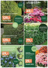 Plantorama tilbudsavis Side 4