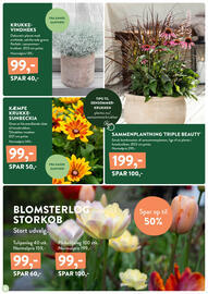 Plantorama tilbudsavis Side 6