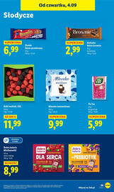 Lidl gazetka Strona 33
