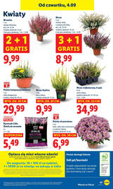 Lidl gazetka Strona 56