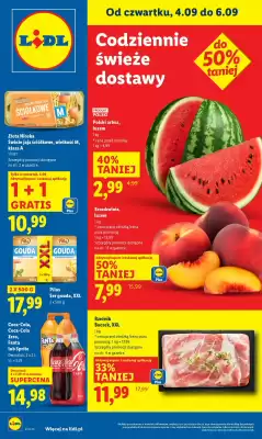 Lidl gazetka (ważność do 6-09)