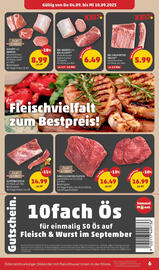 PENNY Flugblatt woche 36 Seite 6