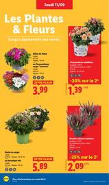 Catalogue Lidl semaine 37 page 28