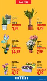 Catalogue Lidl semaine 37 page 29