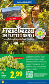 Volantino Lidl settimana 37 Pagina 2