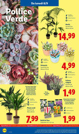 Volantino Lidl settimana 37 Pagina 28