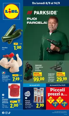 Volantino Lidl (valido fino al 14-09)