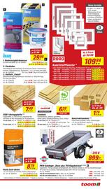 Toom Baumarkt Prospekt woche 36 Seite 11