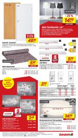 Toom Baumarkt Prospekt woche 36 Seite 13