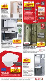 Toom Baumarkt Prospekt woche 36 Seite 17