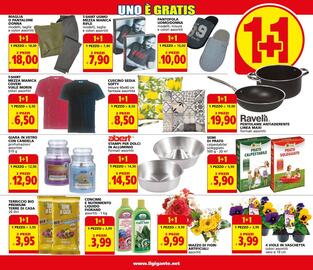 Volantino Il Gigante Pagina 13