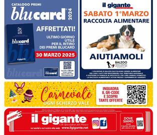 Volantino Il Gigante Pagina 44