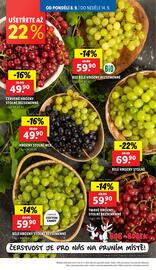 Lidl leták Strana 10