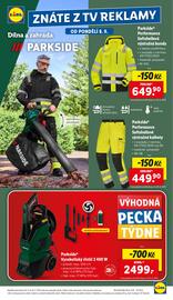 Lidl leták Strana 29