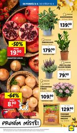 Lidl leták Strana 9