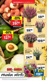 Lidl leták Strana 13