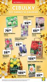 Lidl leták Strana 33