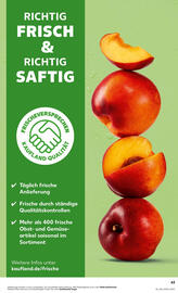 Kaufland Prospekt woche 36 Seite 63