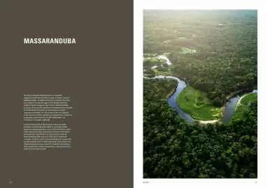 Volantino Deco Decking Pagina 12