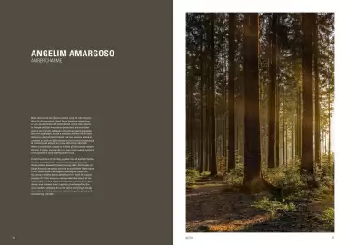 Volantino Deco Decking Pagina 20