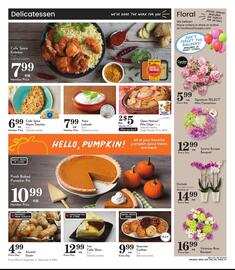 Pavilions weekly ad week 36 Page 3