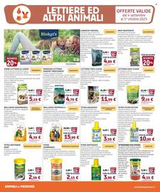 Volantino Il Gigante Pagina 7